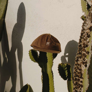 Will & Bear Ranger Brown Vintage 5-Panel Cap Hanging on Cactus – Organic Cotton Cap in Natural Light.