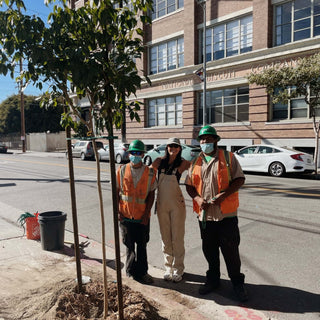 City Plants, a greener future for LA