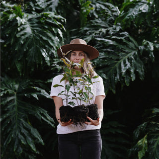 Woman holding trees wearing a wool wide-brim hat