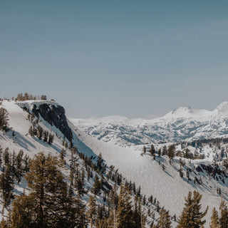 Snow covered mountain with trees